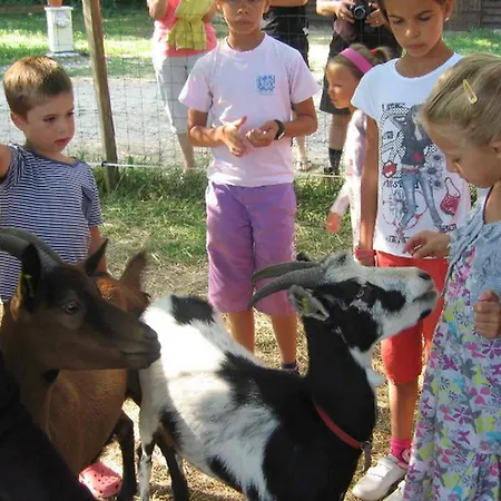 Mobil-home, Animaux 4 Pers. - Api-1-52-2603